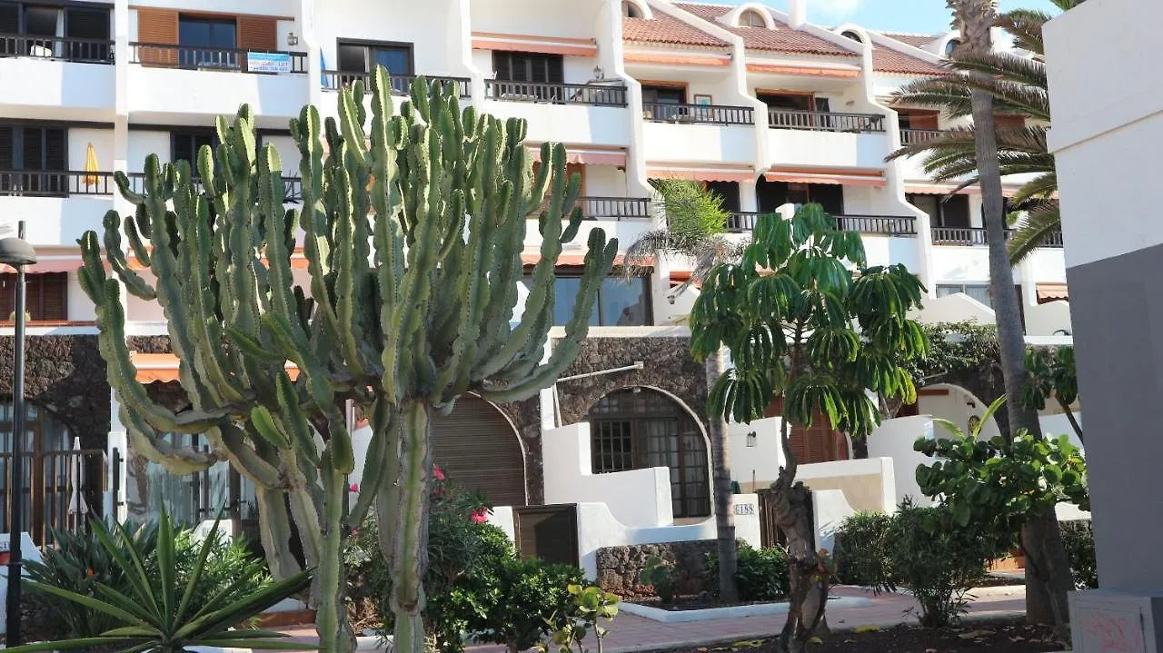 Apartment Apartamento En Tenerife Sur, Parque Santiago 2 Arona