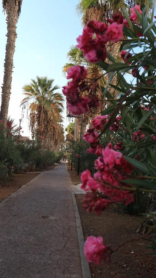 Apartamento En Tenerife Sur, Parque Santiago 2 Arona  0*, Arona (Tenerife) Spain